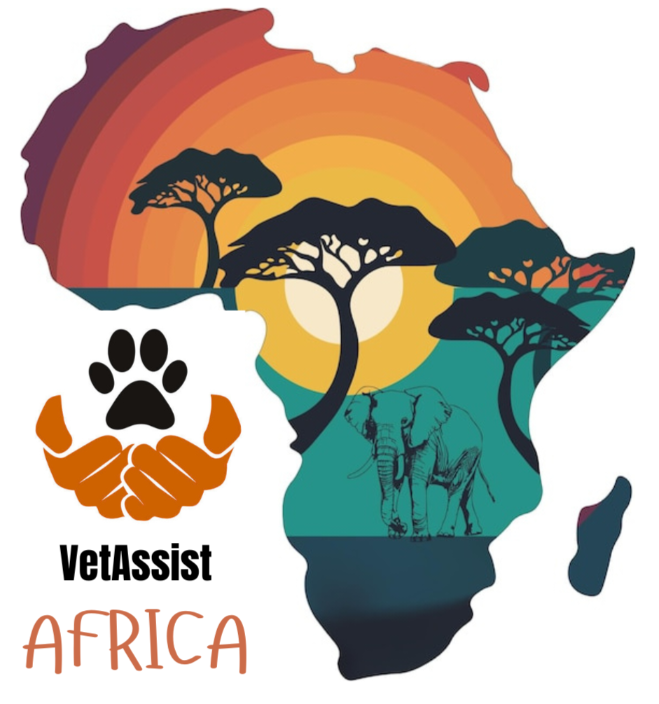 VetAssist_20250610_202141_0000